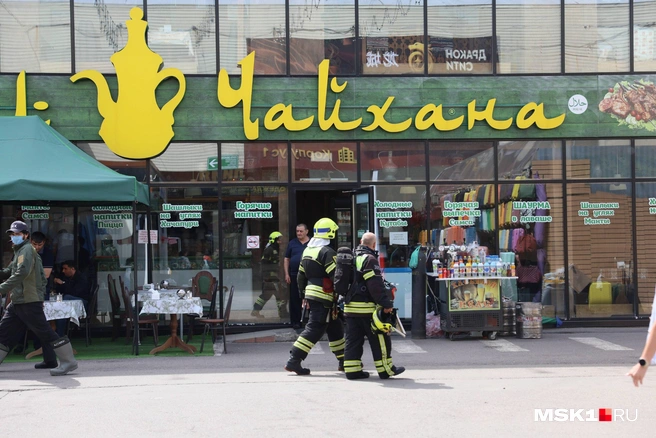 Пожарные осматривают территорию | Источник: Артём Устюжанин / MSK1.RU