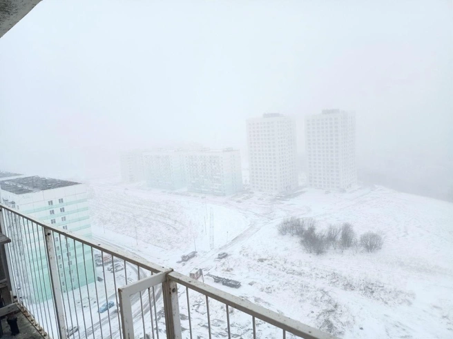 Новосибирец сфотографировал вид из окна | Источник: читатель НГС