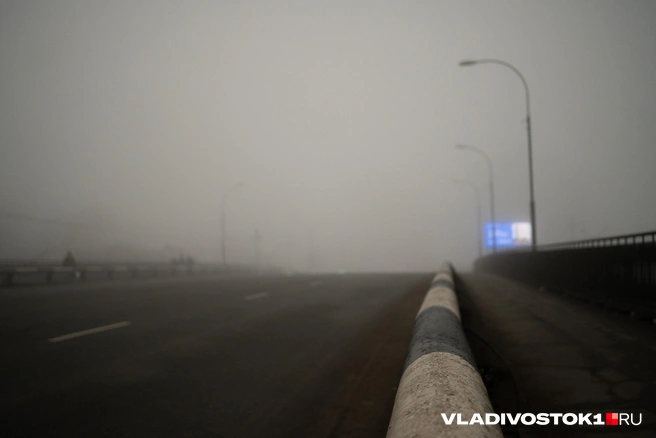 Источник: Елена Буйвол / VLADIVOSTOK1.RU