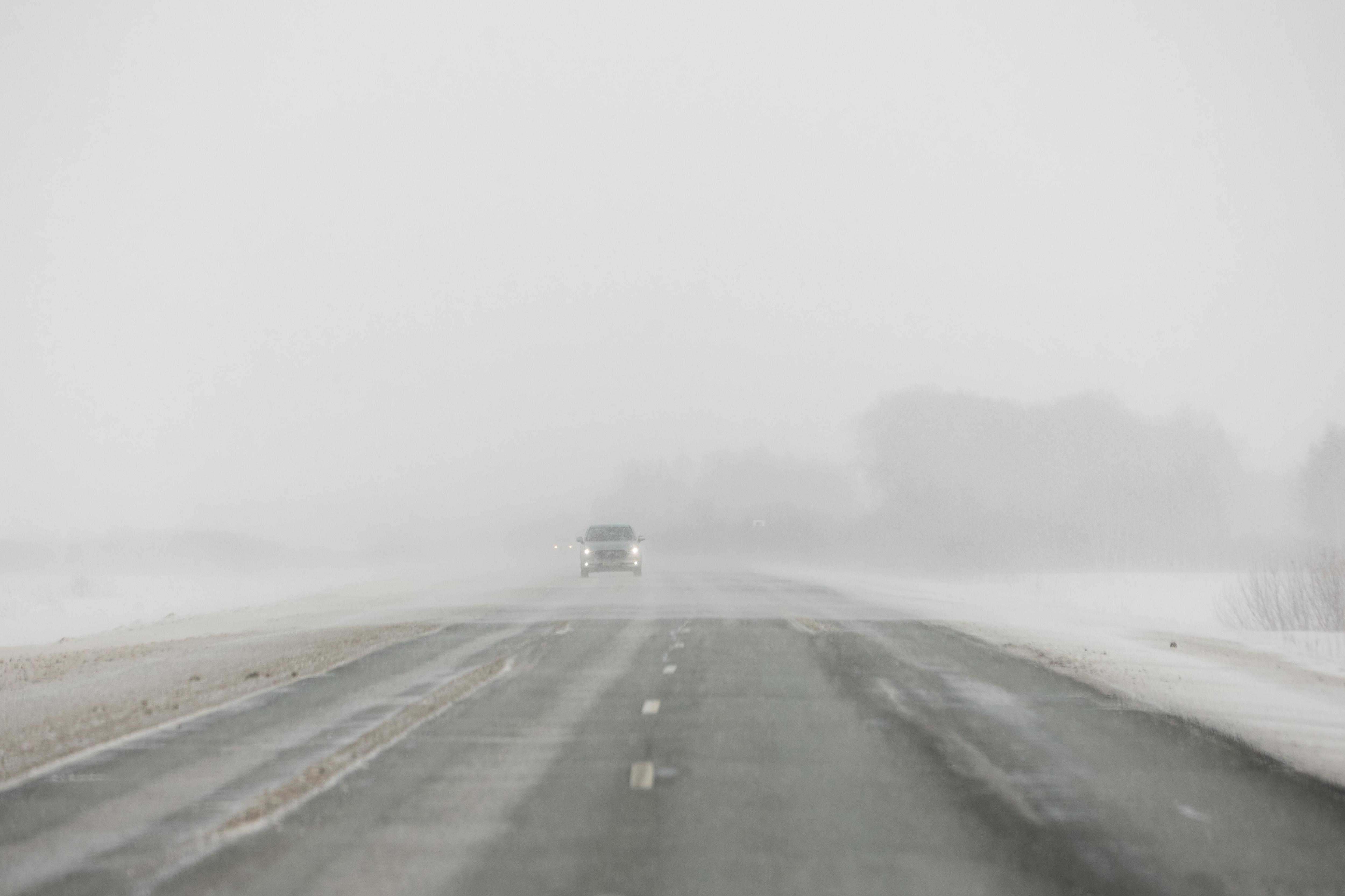 Дождь, метель, гололёд: понедельник в Воронеже лёгким не будет 
