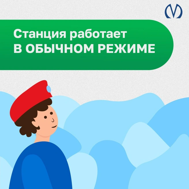 Человека достали с рельсов в «Озерках». Движение поездов восстанавливается | www.fontanka.ru