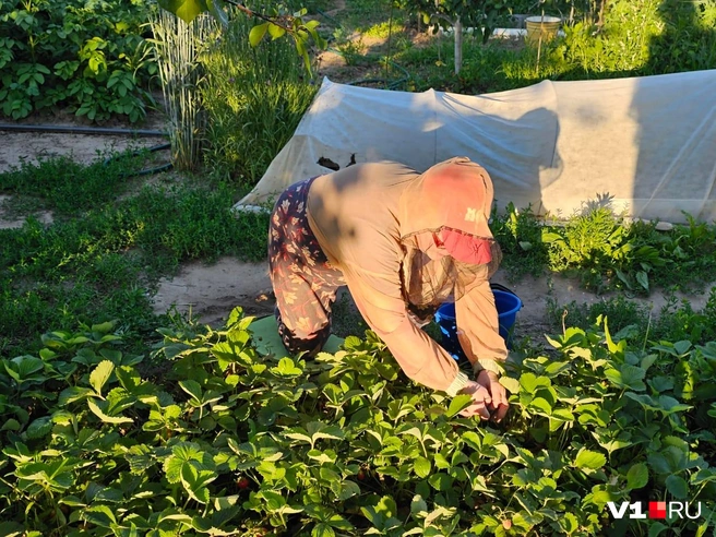 Юрист рассказала, можно ли ходить голым на даче