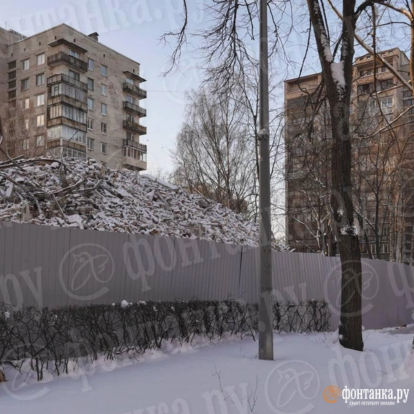 Источник: Павел Даиси / FONTANKA.RU