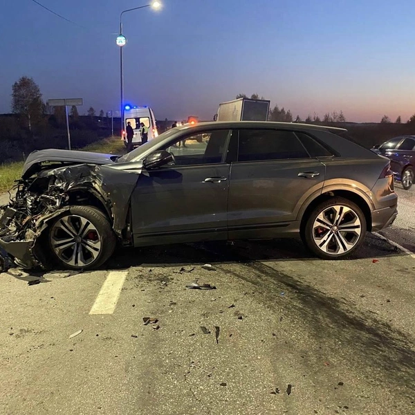 За рулем Audi 24-летняя девушка, у которой нашли 15 штрафов за превышение скорости в 2025 году  | Источник: Госавтоинспекция45 /vk.com