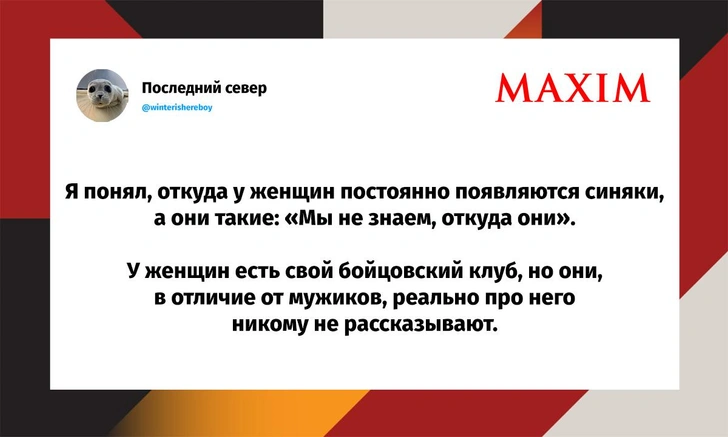 Самые смешные шутки среды и «женщина-тарелочник» | Источник: X (Twitter)