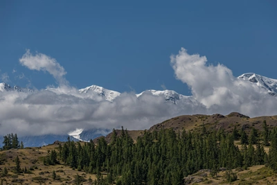 Алтайский край принял 2,4 миллиона гостей в 2025 году