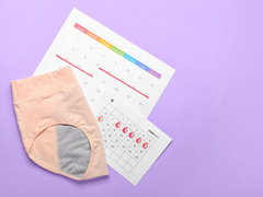 Для «красных» дней календаря: стоит ли пользоваться менструальными губками и трусами?