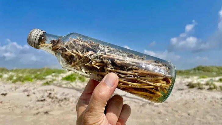 На берег Мексиканского залива выбросило «ведьмины бутылки»: что это и почему их боятся открывать