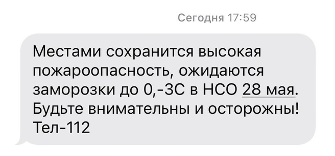 Источник: МЧС по НСО