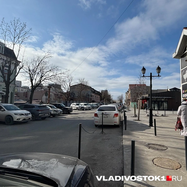 Источник: Елена Буйвол / VLADIVOSTOK1.RU