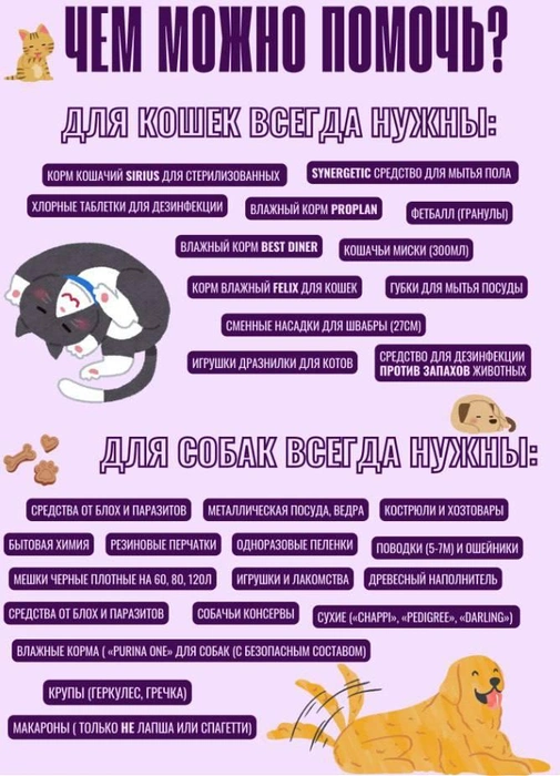 Что можно принести для бездомных животных | Источник: пресс-служба мэрии Томска