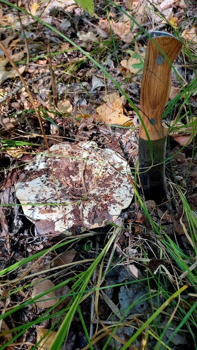 Источник: Вадим Чугунов