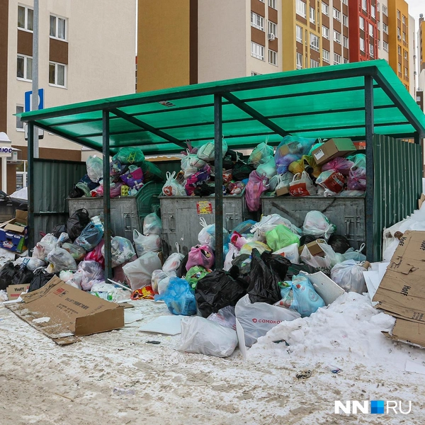 Многие контейнеры забиты мусором | Источник: Наталья Бурухина / NN.RU