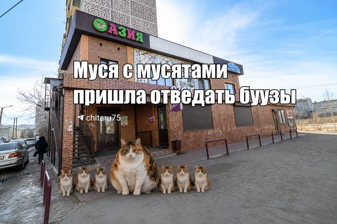 Источник: Вячеслав Палкин