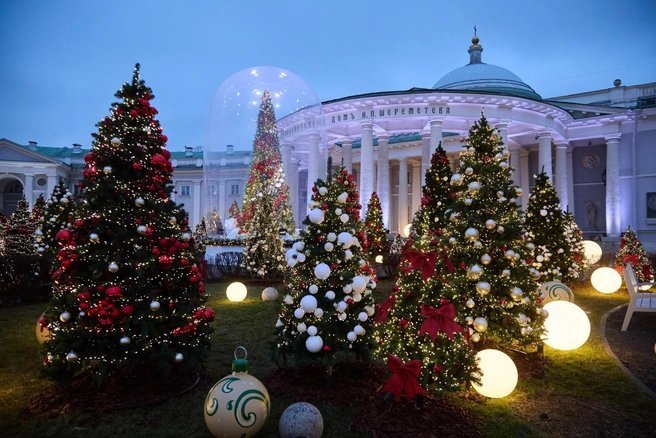 Елки радуют глаза многих российских семей | Источник: Дмитрий Толстошеев / MSK1.RU