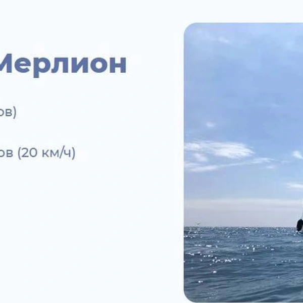 Источник: «Вести: Приморье»