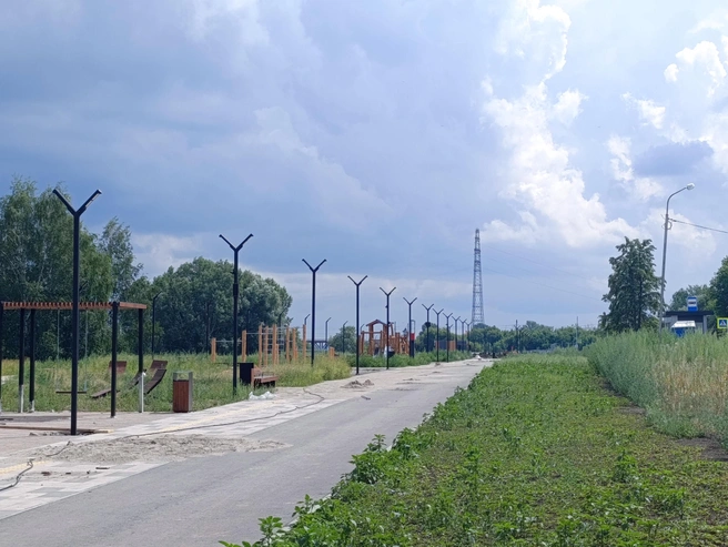Панорама парка изнутри | Источник: Стас Соколов / NGS.RU
