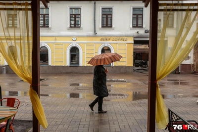 Гроза и сильный ветер: штормовое предупреждение в Ярославле