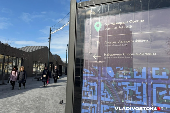 Даже самой проходной улице в центре города есть чем удивить | Источник: Елена Буйвол / VLADIVOSTOK1.RU