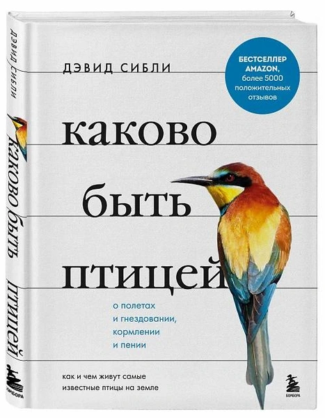 презентация книги «Каково быть птицей…»