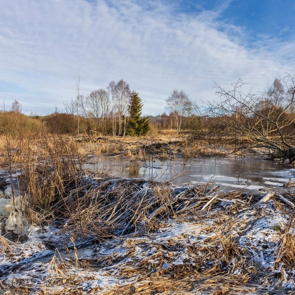 Источник: Nature Conservation Agency of the Czech Republic