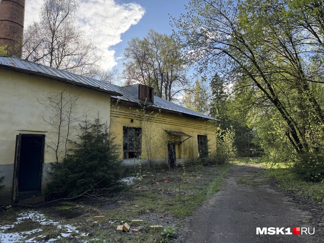 Источник: Алина Мельникова / MSK1.RU