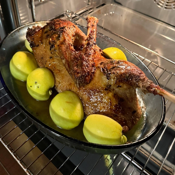 14. Гусь в яблоках! | Источник: читатель 63.RU