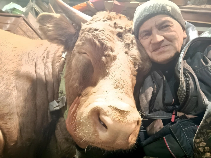 Что за блогер с коровами, которого обвиняют в мошенничестве в «Твиттере»?