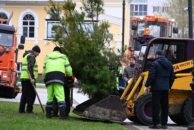 В Пензе почти 8 тысяч человек присоединились к озеленению города
