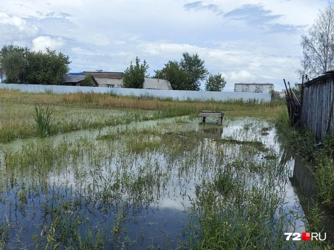 Зеленая полоса в левой части&nbsp;— это и есть тот самый ров. Олеся говорит, что он глубокий и в него, по идее, должна собираться вся вода | Источник: Павел Красоткин / 72.RU 
