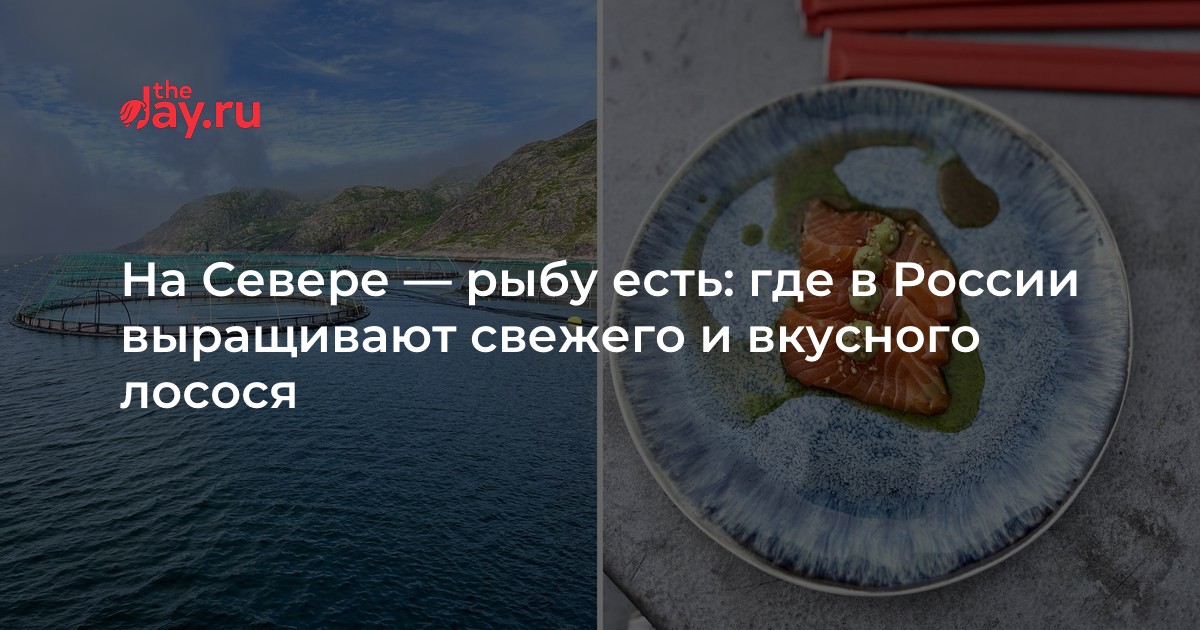 Куда идет лосось?