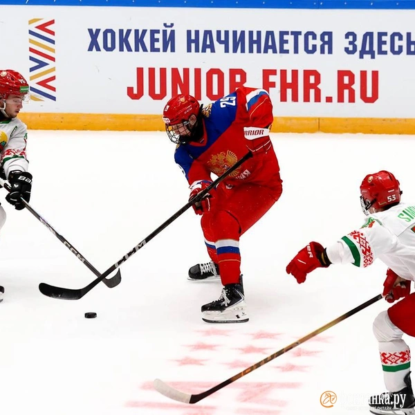 Источник: Дарья Драй / «Фонтанка.ру»