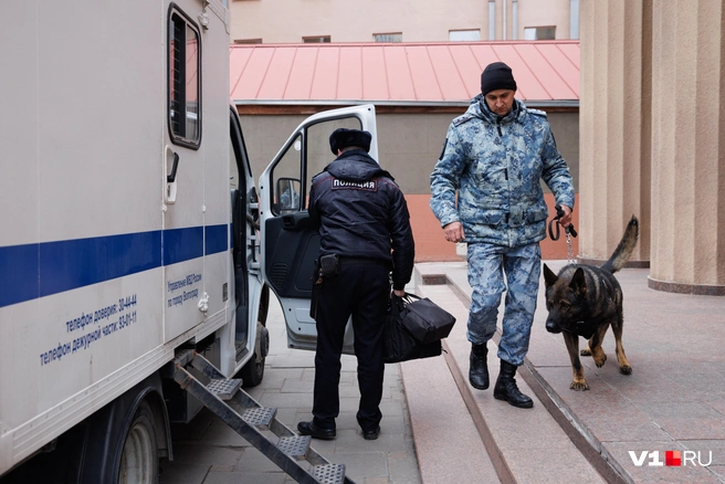 Добросовестное исполнение должностных обязанностей требует от животного полной физической и эмоциональной отдачи | Источник: Алексей Волхонский / V1.RU