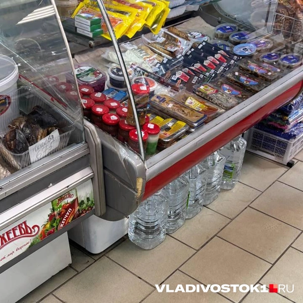 Источник: Елена Буйвол / VLADIVOSTOK1.RU