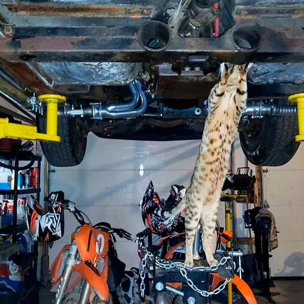 Источник: соцсети