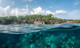 Кроссворд дня № 4: назовите самые низкие государства — и получите совет для высоких достижений