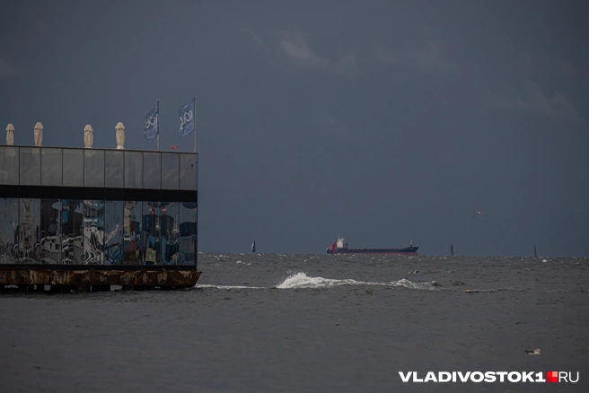 Источник: Елена Буйвол / VLADIVOSTOK1.RU