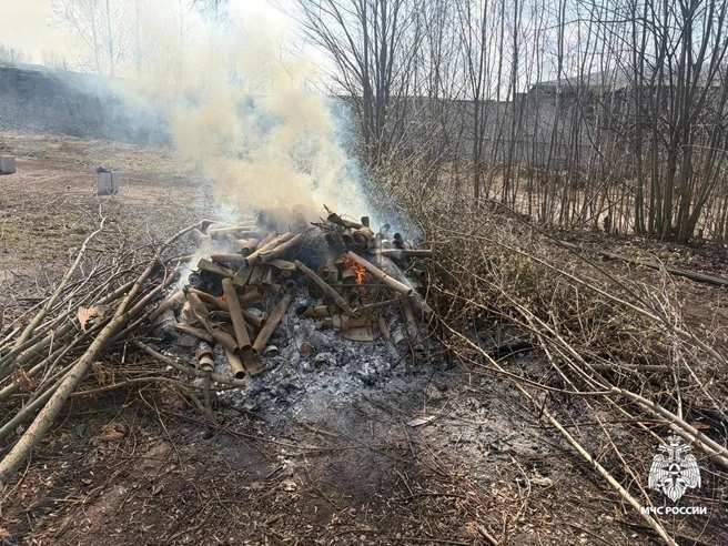 В МЧС рассказали о последствиях пала травы | Источник: МЧС Ярославской области / Max.ru