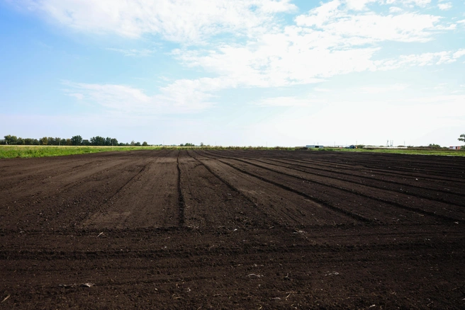 Из общей суммы возмещения 18,3 миллиона рублей получили 30 хозяйств, занимающихся выращиванием зерновых и овощных культур | 142.ru