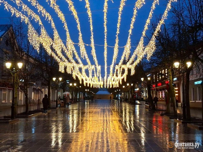 Источник: Анна Мотовилова / «Фонтанка.ру»