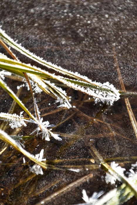 Источник: Анастасия Руднева / Vk.com