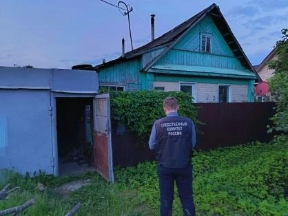 Источник: pskov.sledcom.ru