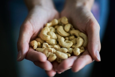 Растительный белок: может ли он заменить животный