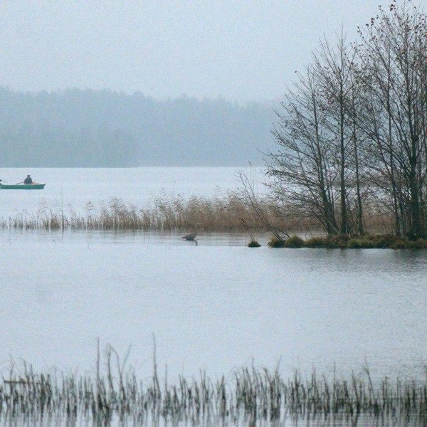 Источник: Авторский канал Павла Глазкова о жизни животных