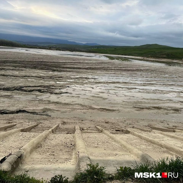 Вид на водохранилище | Источник: Екатерина Рябчук / MSK1.RU
