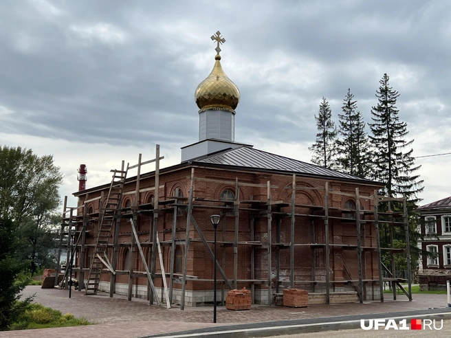 Шах и мат, «красные» | Источник: Андрей Бирюков / UFA1.RU