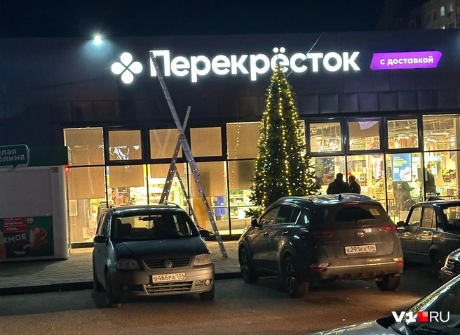 Первая новогодняя елка внезапно появилась на Спартановке | Источник: читатели V1.RU