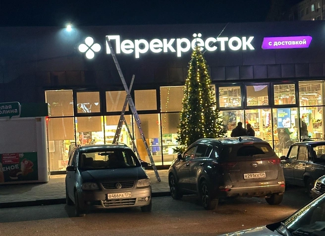 Первая новогодняя елка внезапно появилась на Спартановке | Источник: читатели V1.RU