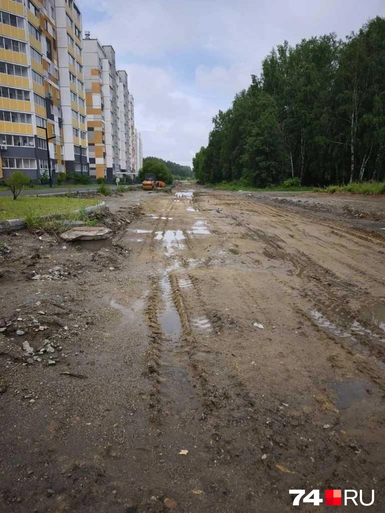 Вот такие фото сделали на Клайна наши читатели | Источник: читатель 74.RU