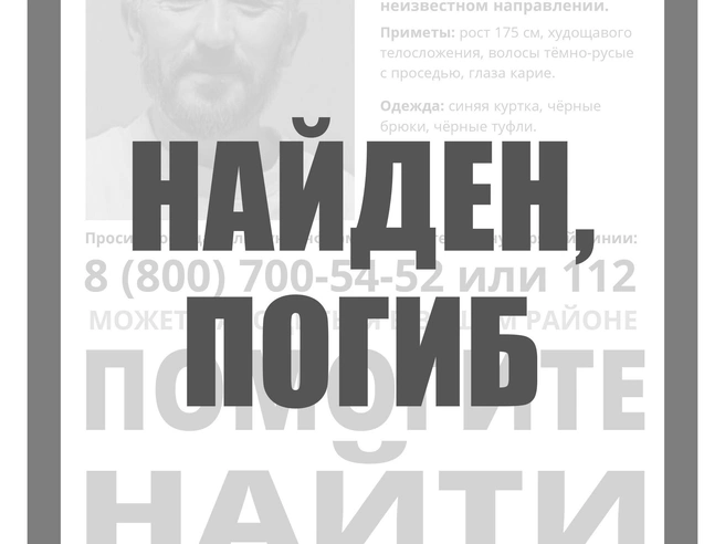 Источник: ЛизаАлерт
